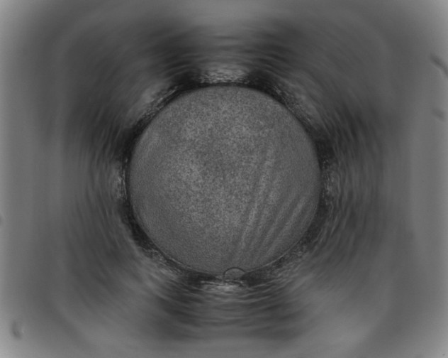 X0000097460743200803071631