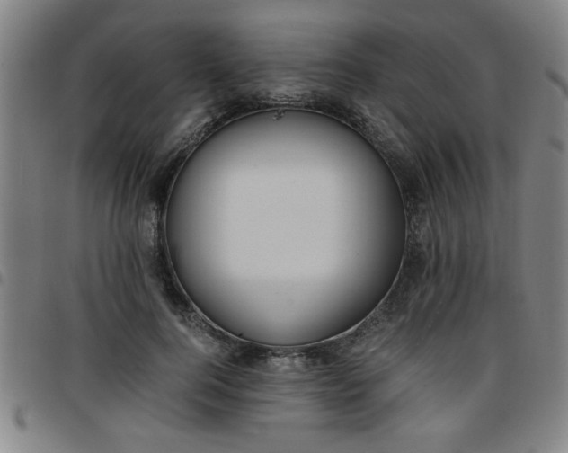 X0000097460744200803071631