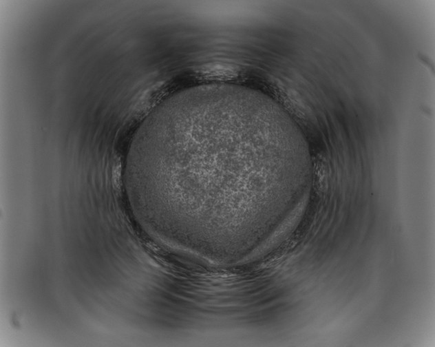 X0000097460745200803071631