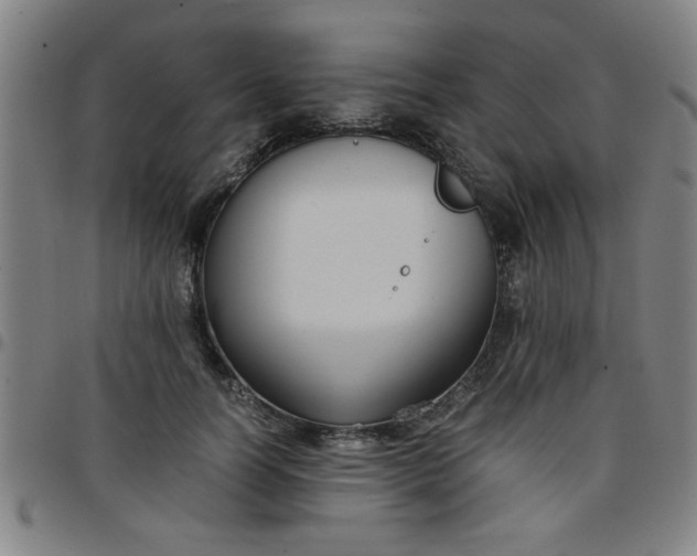 X0000097460746200803071631