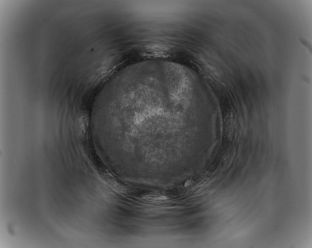 X0000097460747200803071631