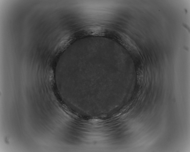 X0000097460748200803071631