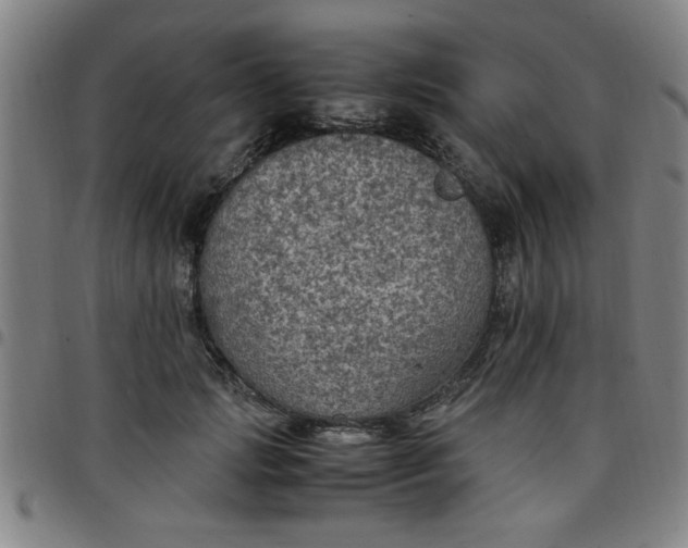 X0000097460749200803071631