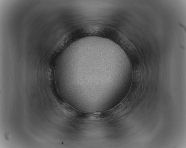 X0000097460750200803071631