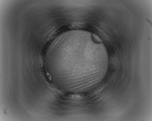 X0000097460751200803071631