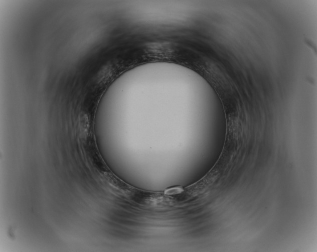 X0000097460752200803071631