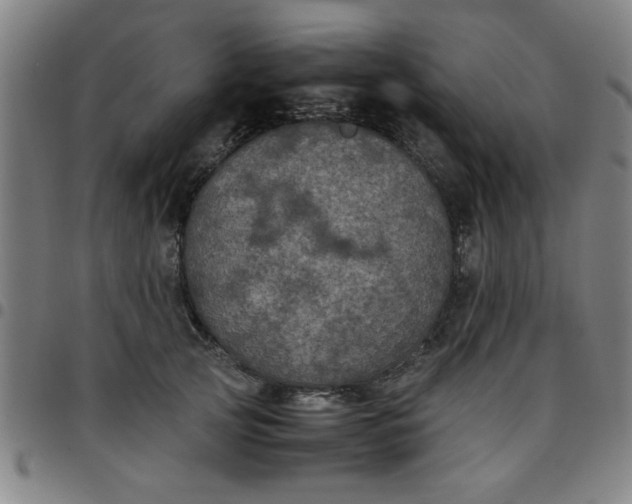 X0000097460753200803071631