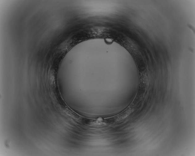 X0000097460754200803071631