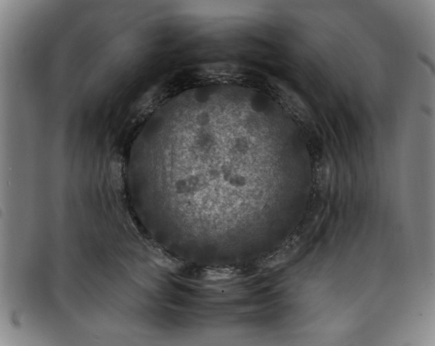 X0000097460757200803071631