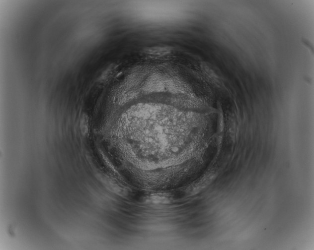 X0000097460758200803071631