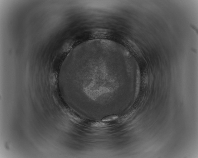 X0000097460759200803071631