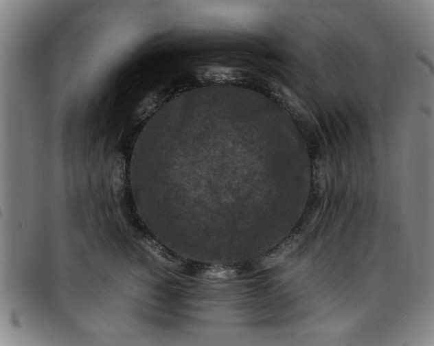 X0000097460760200803071631