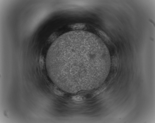 X0000097460761200803071631