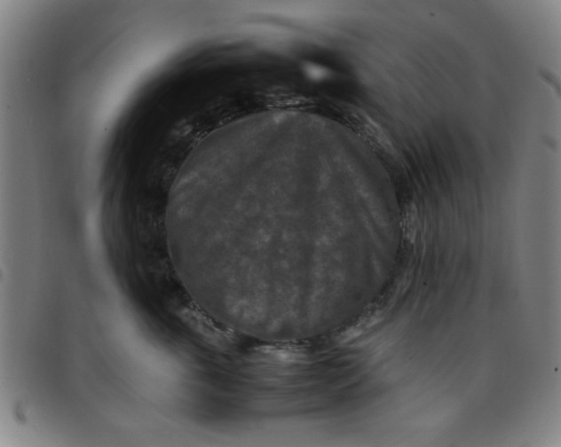 X0000097460763200803071631