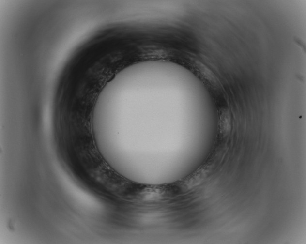 X0000097460764200803071631