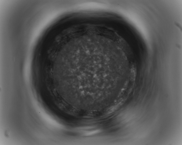 X0000097460765200803071631