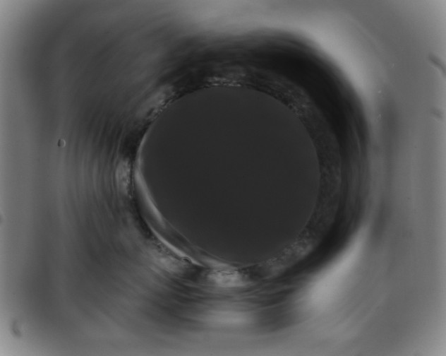 X0000097460767200803071631