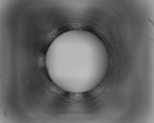 X0000097460768200803071631