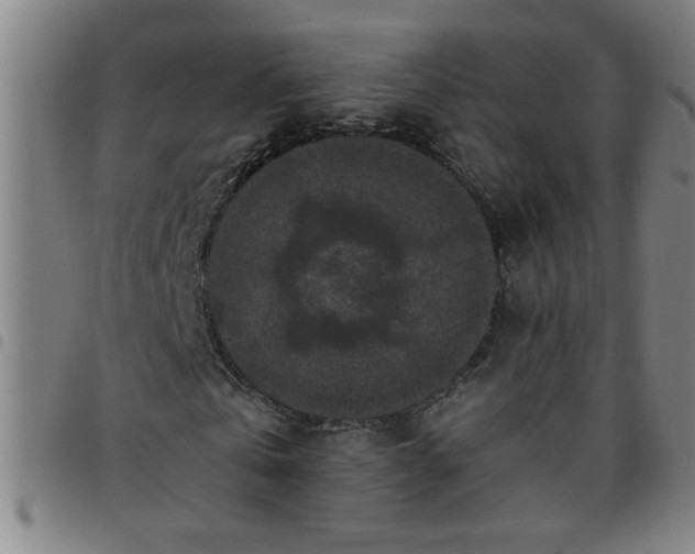 X0000097460769200803071630