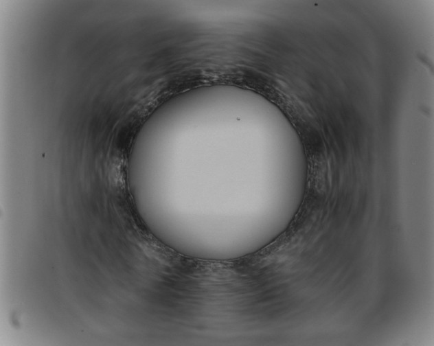 X0000097460770200803071630