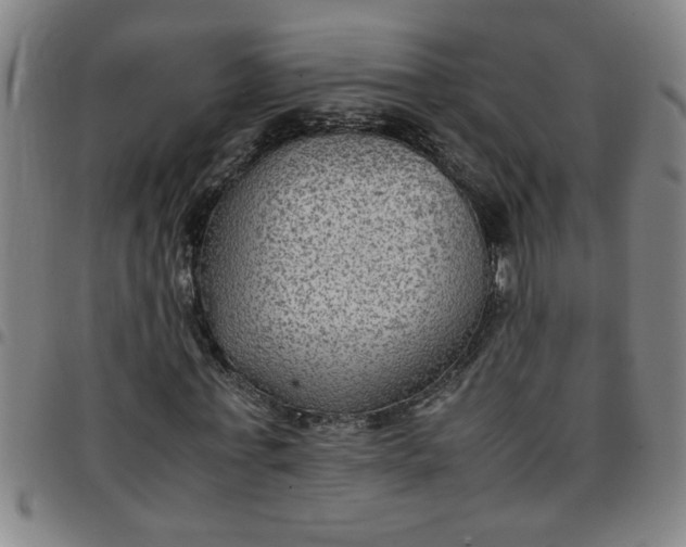 X0000097460771200803071630