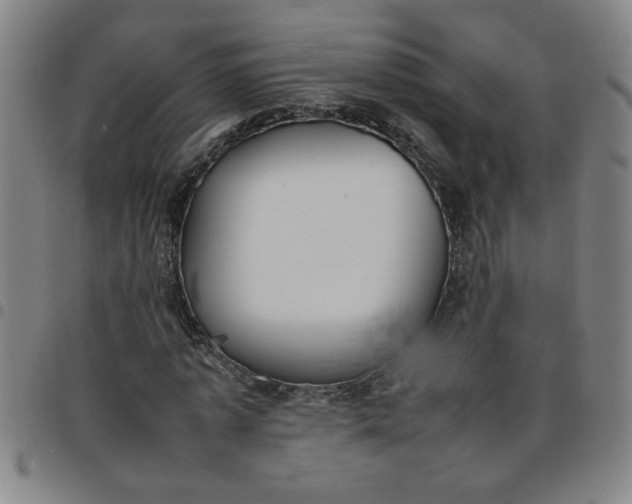 X0000097460773200803071630