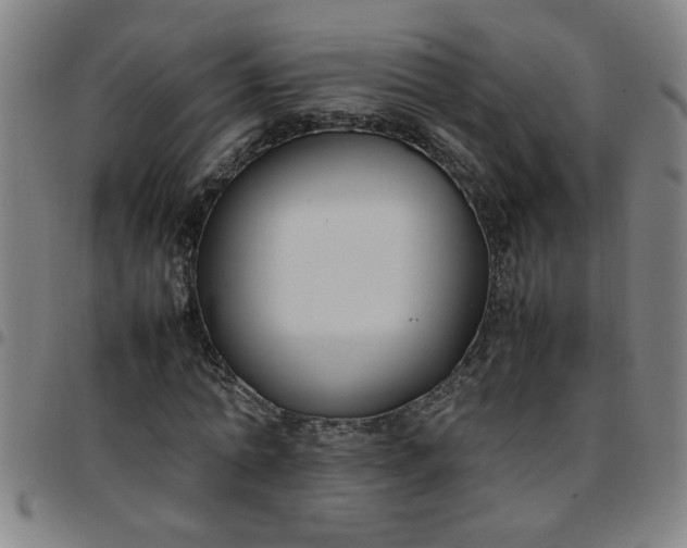 X0000097460774200803071630