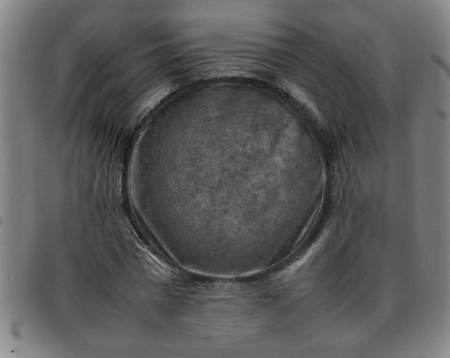 X0000097460777200803071630