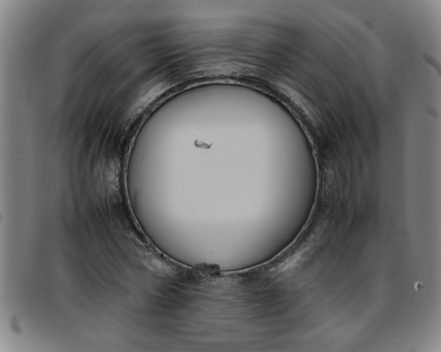 X0000097460778200803071630