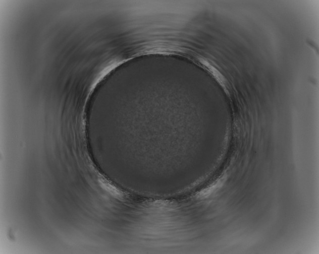 X0000097460779200803071630