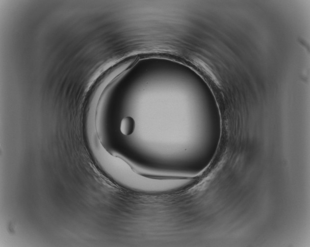 X0000097460781200803071630