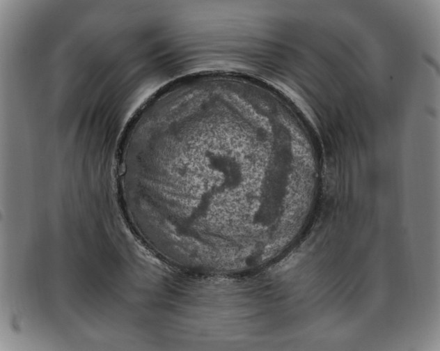 X0000097460783200803071630