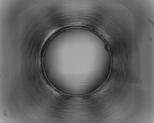 X0000097460784200803071630