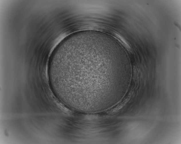 X0000097460788200803071630