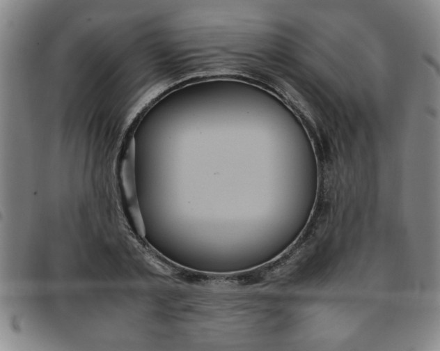 X0000097460789200803071630