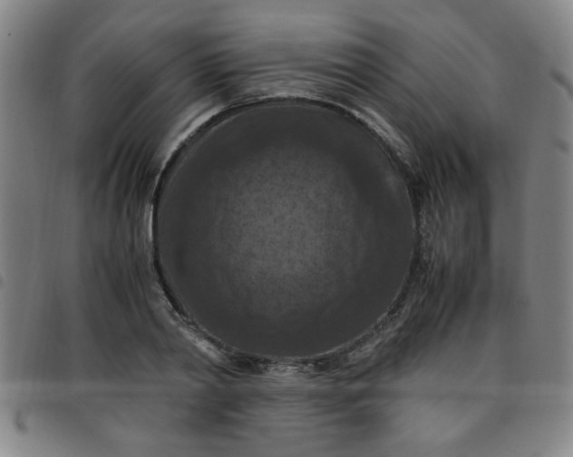 X0000097460790200803071630