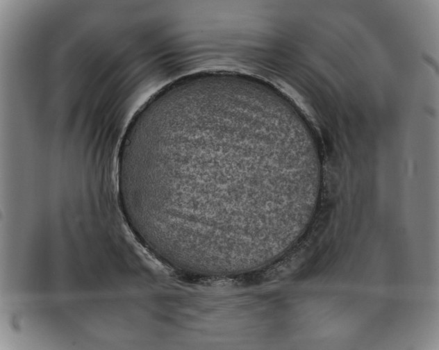 X0000097460791200803071630