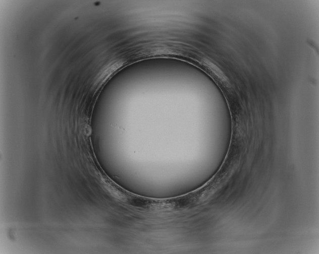 X0000097460793200803071630