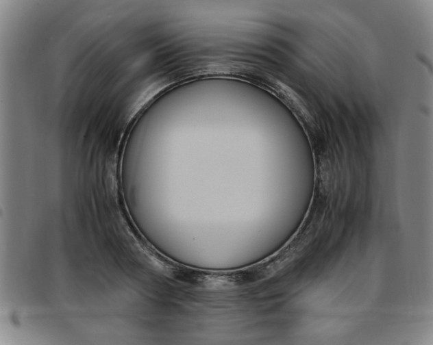 X0000097460794200803071630