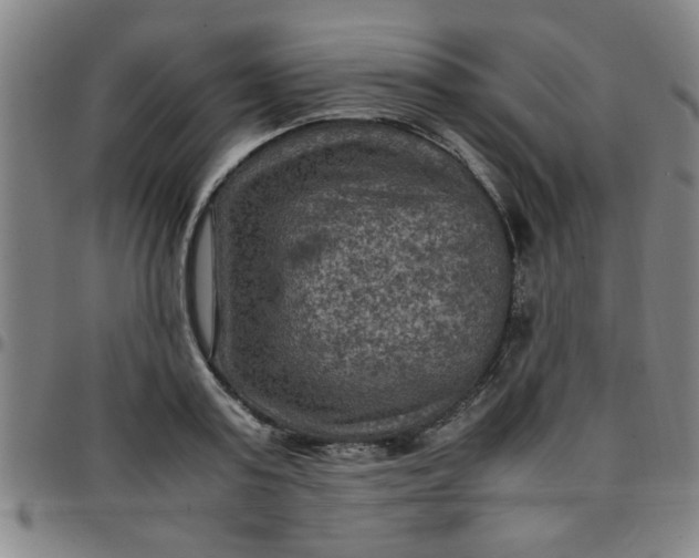 X0000097460795200803071630