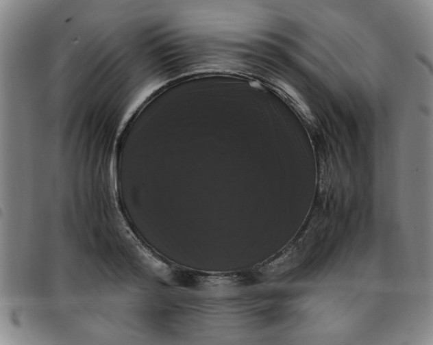 X0000097460796200803071630