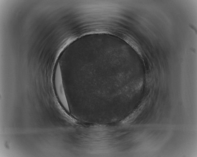 X0000097460797200803071630