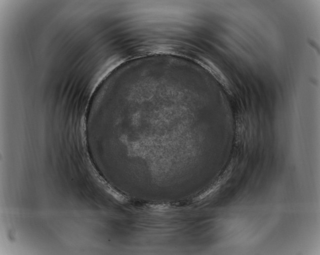 X0000097460798200803071630