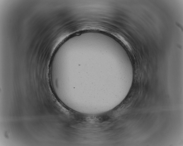 X0000097460799200803071630