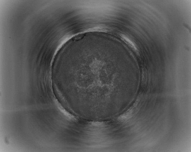 X0000097460800200803071630