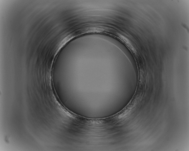 X0000097460802200803071630