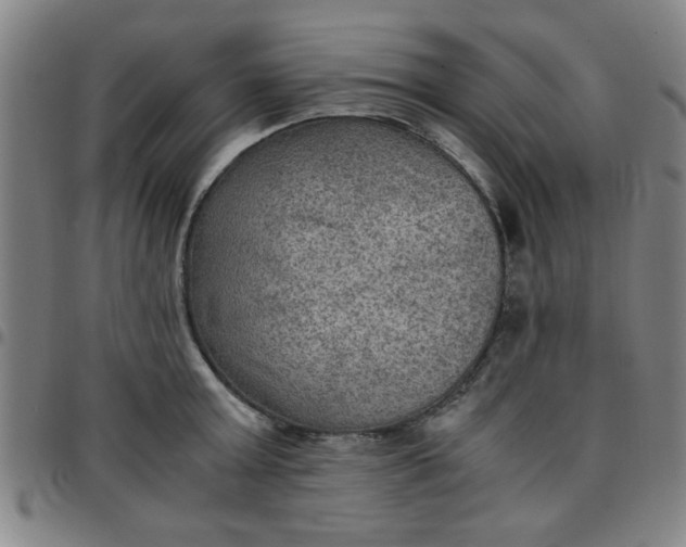 X0000097460803200803071630