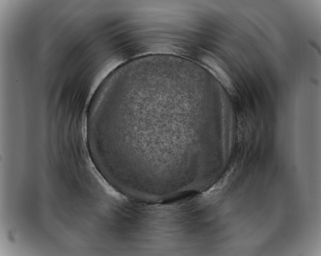 X0000097460804200803071630