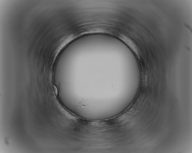 X0000097460805200803071630