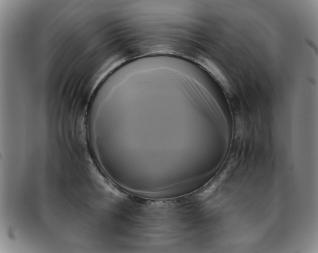 X0000097460806200803071630